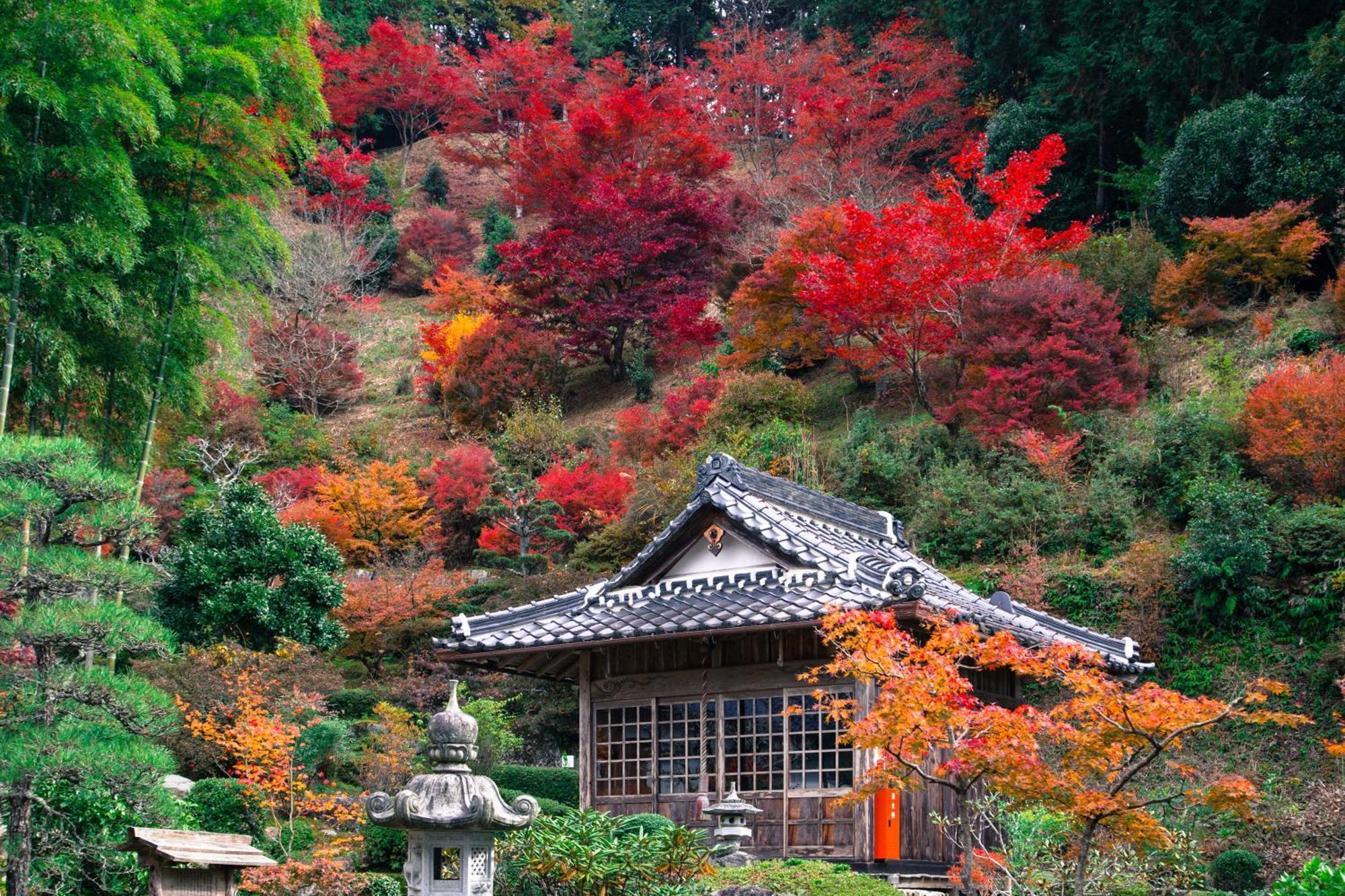 Satoyama Hotel Kanenone Tamba Maibara Exterior foto