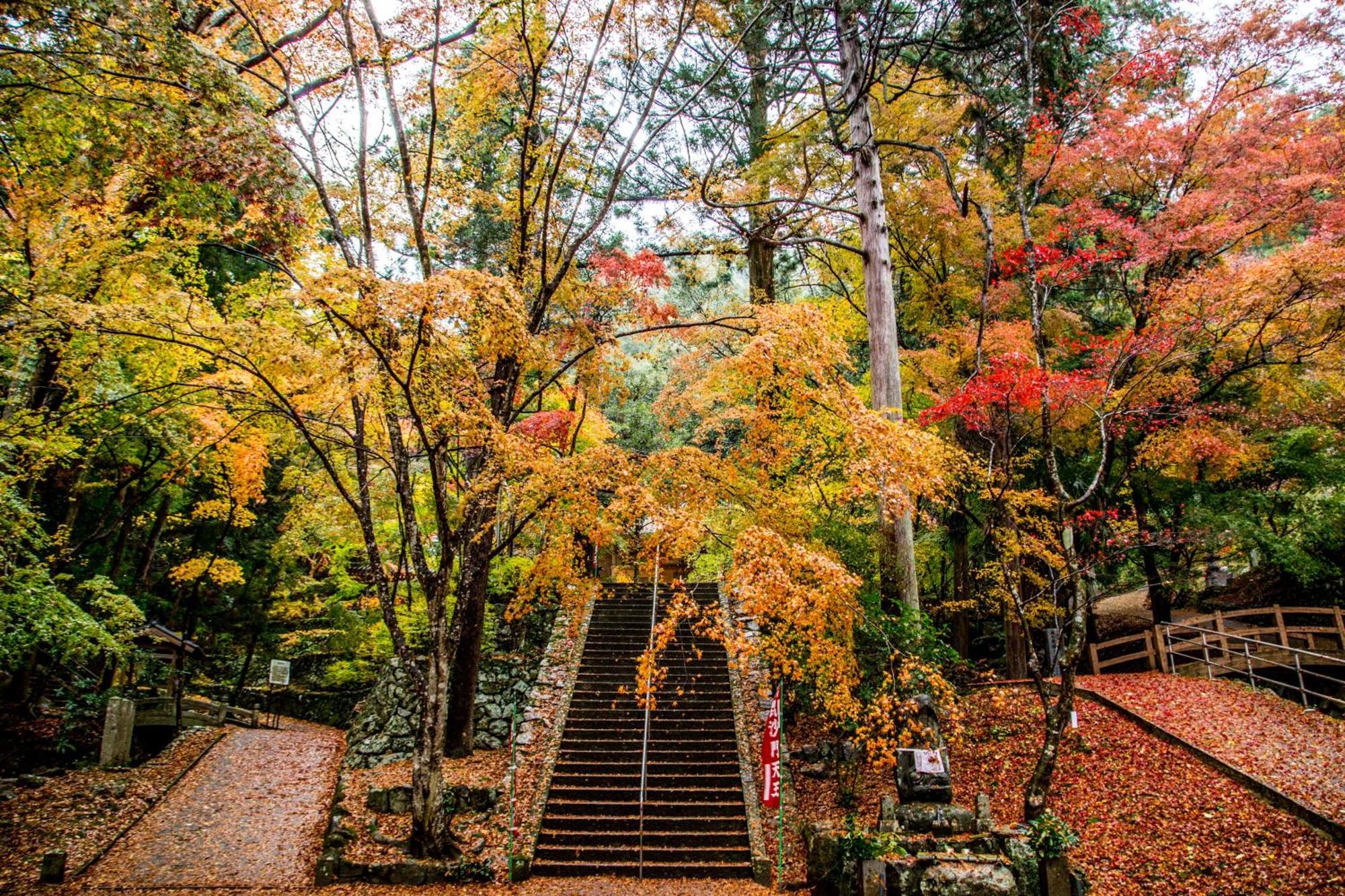 Satoyama Hotel Kanenone Tamba Maibara Exterior foto